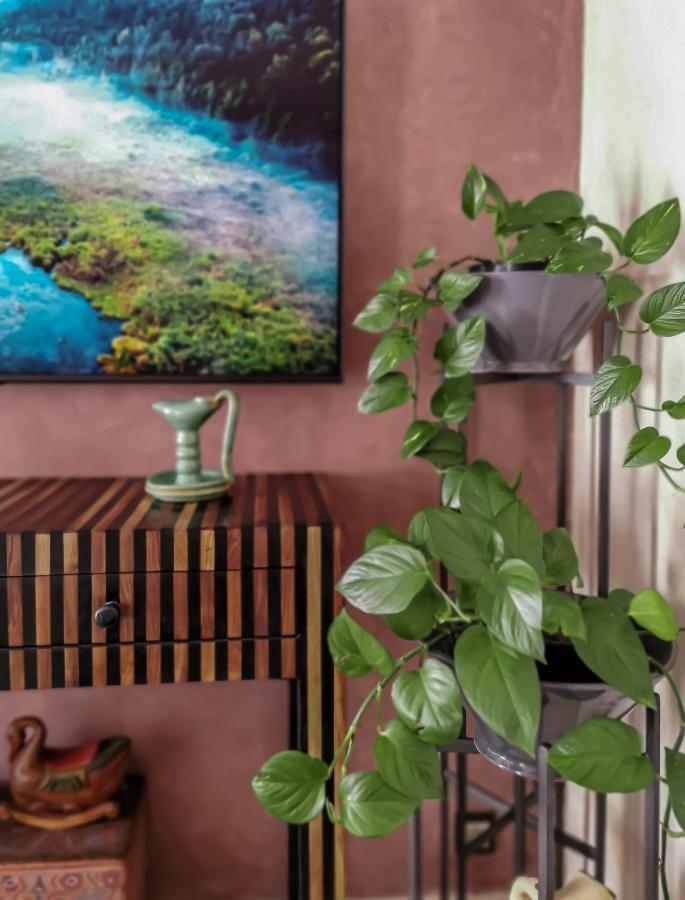 Teddy Pirate - Coliving Pansiyon Taghazout Dış mekan fotoğraf