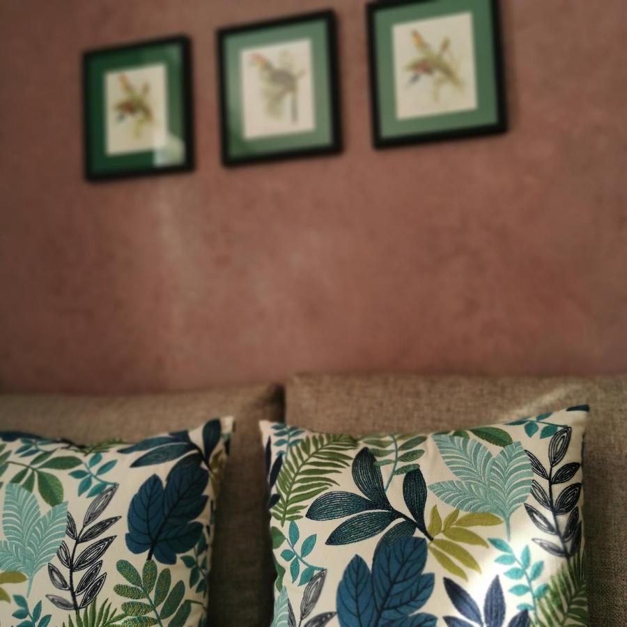 Teddy Pirate - Coliving Pansiyon Taghazout Dış mekan fotoğraf
